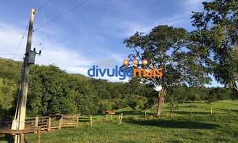 Imagem 8: Fazenda a venda de 68 alqueires para pecuária na região de Caldas Novas GO