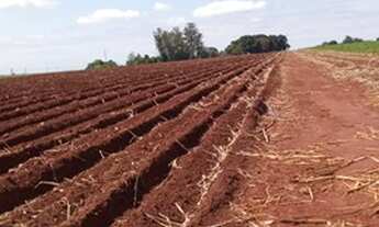 Imagem 2: Fazenda 35 Alqueires, Próximo Limeira-Sp