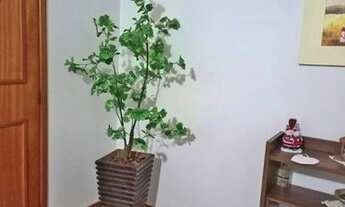 Imagem 2: Rua calma e arborizada - Ótima conservação