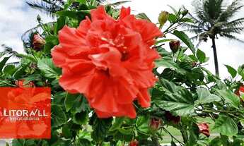 Imagem 5: Casa com 3 dormitórios à venda, 240 m² por R$ 795.000,00 - Cibratel II - Itanhaém/SP