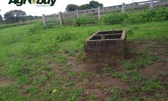 Imagem 6: Fazenda Localizada no Município de Sandolândia