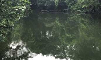 Imagem: Cuiabá - Chácara - Coxipó do Ouro