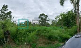 Imagem 3: Suzano - Chácara - São Domingos