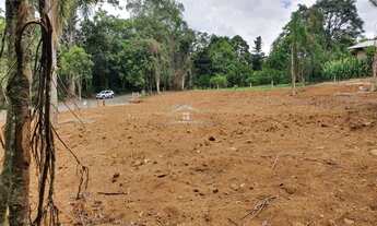Imagem 7: GRAMADO - Terreno Padrão - Carazal