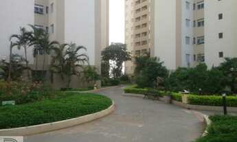 Imagem 5: Apartamento, Continental - Osasco