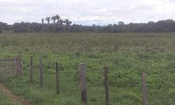 Imagem 15: Fazenda no município de Nobres à venda, 2780000 m² por R$ 5.560.000 - Vila Bom Jardim - No