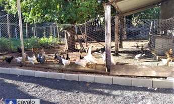 Imagem 7: Chácara com 8 dormitórios à venda, 9700 m² por R$ 1.100.000,00 - Jardim Maravilha - Serran