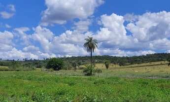 Imagem 4: Vendo Fazendinhas Financiadas. Muita Água e Terra de Plantio