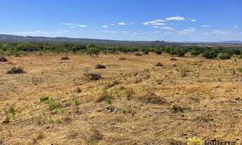 Imagem: Fazenda à venda, 140 Hectares em Porto
