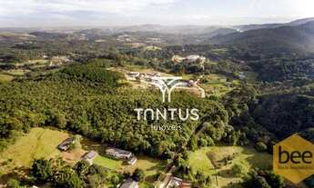 Imagem 7: Área à venda, 76040 m² por R$ 1.700.000,00 - Mato Dentro - Almirante Tamandaré/PR