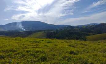 Imagem 2: Vendo Lote/Terreno com 1000 metros quadrados em Santa Isabel