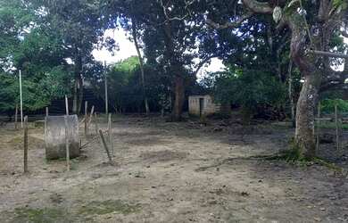 Imagem 6: CHÁCARA PRÓXIMA A RIO LARGO