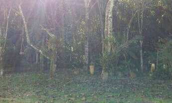 Imagem 3: Chácara residencial à venda, Caxambu, Jundiaí