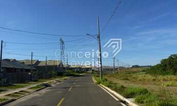 Imagem 5: Terreno - Jardim das Flores - Neves