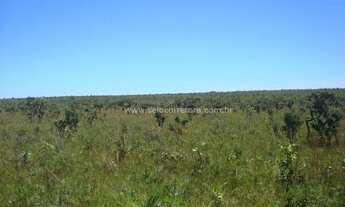 Imagem: EXCELENTE FAZENDA NO MUNI. DE NOVA LACERDA-MT