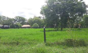 Imagem 2: Excelentes Fazendinhas Planas Registradas Financiadas Com Água Luz Lagoa Cerca na região S