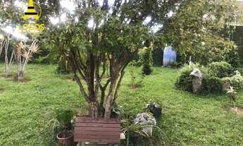 Imagem 5: Chácara com 3 dormitórios à venda, 1700 m² por R$ 1.100.000,00 - Terra Preta - Mairiporã/S