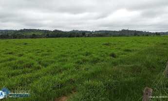 Imagem 6: Fazenda 198 alqueires Região de Cacaulândia