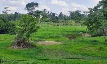 Imagem 6: Fazenda 127 alqueires Jaru