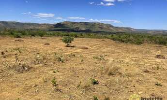 Imagem 6: Fazenda à venda, 140 Hectares em Porto Nacional/TO