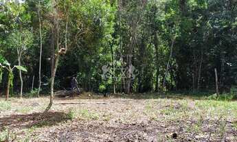 Imagem 4: Terreno à venda, Praia do Sapê, Ubatuba, SP