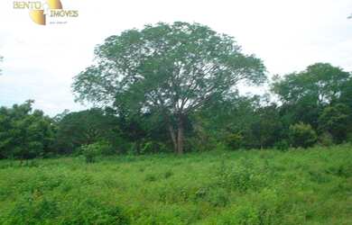 Imagem 4: Fazenda em Nossa Senhora do Livramento à venda, 4870000 m² por R$ 6.000.000 - Zona Rural