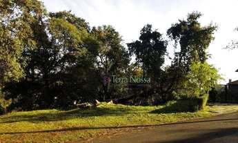 Imagem 6: Terreno com linda Vista Panorâmica