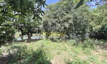 Imagem 5: Terreno à venda, Zona Rural, Delfinópolis, MG