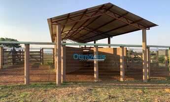 Imagem 4: Fazenda a venda - área rural