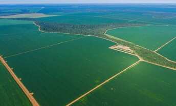 Imagem: Fazendas no Paraná