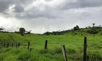 Imagem 2: Sítio 80 Alqueires Ji - Paraná