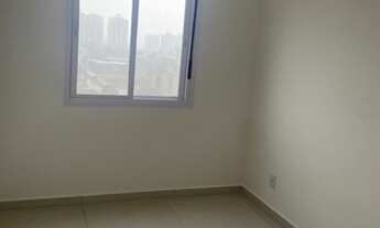 Imagem 6: Apartamento - Terrazo Vila Rosa