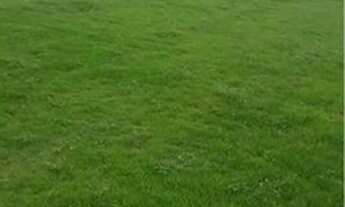 Imagem 5: Terreno para Venda em Rondonópolis, Vila Paulista