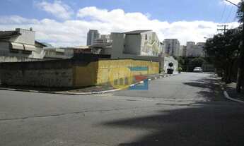 Imagem 5: Terreno residencial à venda, Jardim Avelino, São Paulo