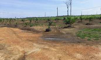 Imagem: Chácara a venda