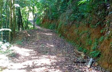 Imagem 4: Sítio a Venda em Domingos Martins