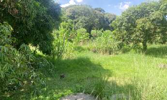 Imagem 5: Fazenda/Sítio/Chácara para venda tem 176 metros quadrados com 2 quartos em Guacuri - Itupe