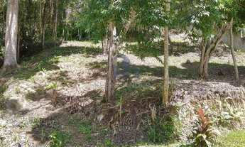 Imagem 4: Terreno à venda, 816 m² por R$ 280.000,00 - Cônego - Nova Friburgo/RJ