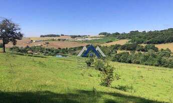 Imagem 3: Sítio à venda, 12,4 Alqueires por R$ 2.480.000 - Irerê - Londrina/PR