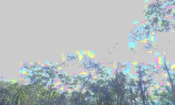 Imagem: Vende-se terreno na Região de Ibiuna /