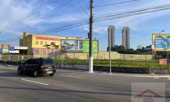 Imagem 4: Terreno Luís Latorre