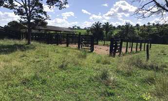 Imagem 3: Fazenda à venda, 1.000 Hectares em Fortaleza do Tabocão - TO