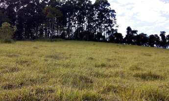 Imagem 3: Sítio à venda, 446000 m² por R$ 850.000,00 - Zona Rural - Caldas/MG