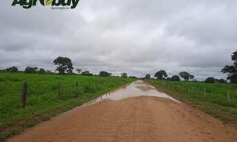 Imagem 5: Fazenda Localizada no Município de Sandolândia
