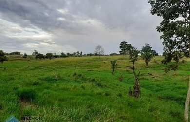 Imagem 5: Sitio 36,5 alqueires Jaru