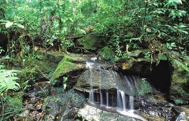 Imagem 5: Casa com 4 dormitórios à venda, 634 m² por R$ 5.800.000,00 - Gênesis 2 - Santana de Parnaí