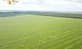 Imagem 4: Fazenda à venda, m² por R$ 150.000.000,00 - Zona Rural - Colider/MT