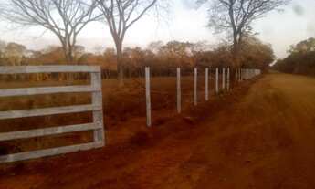 Imagem 3: Chácara fundo para a represa Três Marias em Frei Orlando