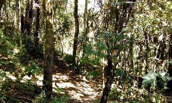 Imagem: Sítio à venda, 446000 m² por R$ 850.000,00