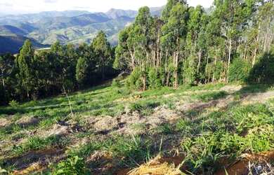 Imagem 2: Terreno/Lote/Chácara no Circuito Caravaggio 42mil metros quadrados, $290.000,00